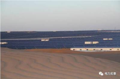 世界最大太陽能電站并非死亡禁區，風能發電同樣面臨生態挑戰