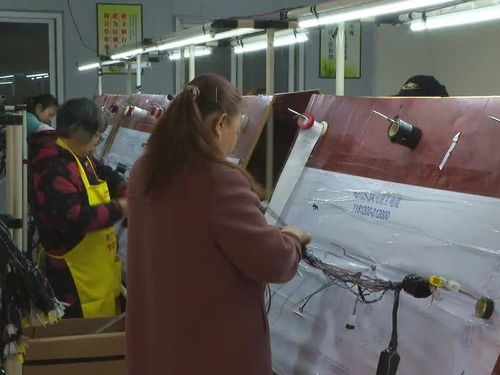 勞務服務 樂至縣鄉村振興的新引擎